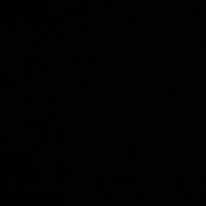 Meet your Posher, Oscar